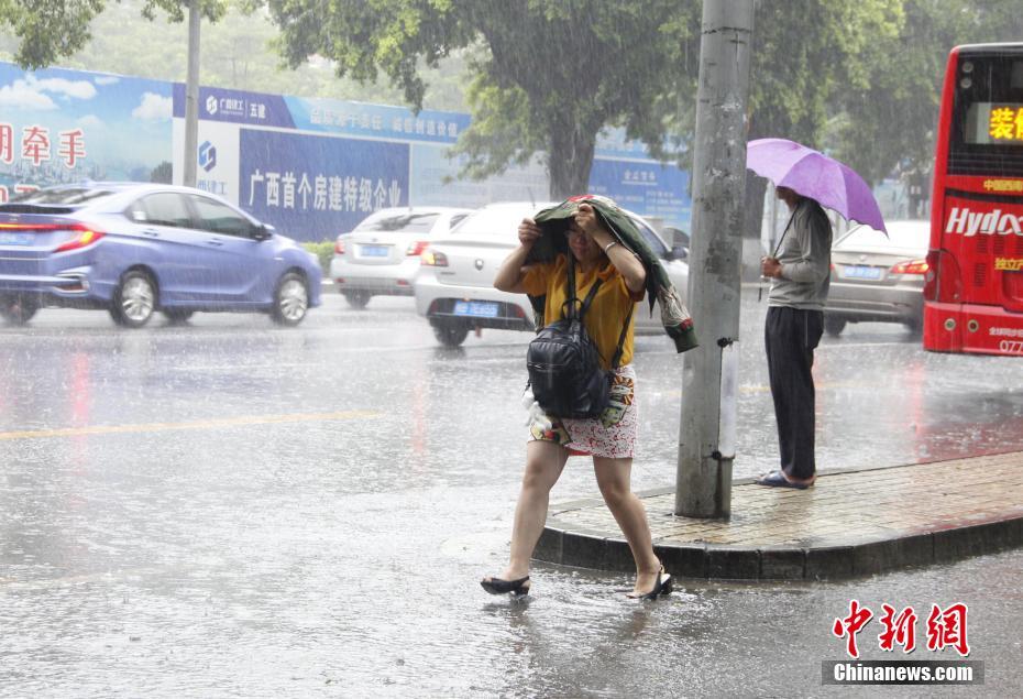 广西大雨实时更新，最新消息与动态