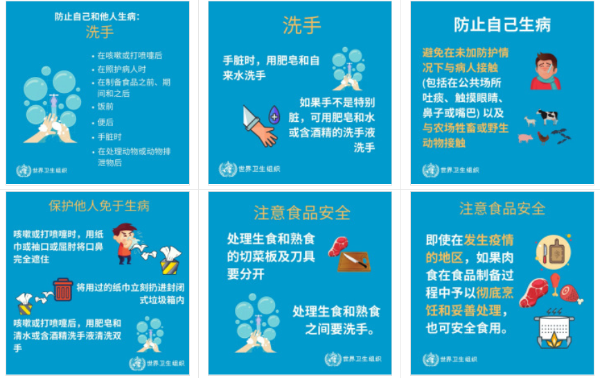 新疆疫情下的自然探索之旅，寻找内心的宁静与安宁