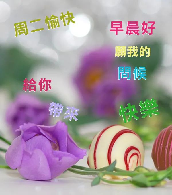 最新温情祝福，满载欢笑与温馨的话语