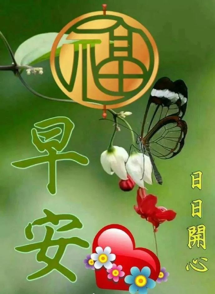 科技新品亮相，开启智能生活新篇章，早上好最新的动态报道