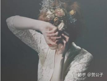 天降神婿，神秘故事的魅力探寻