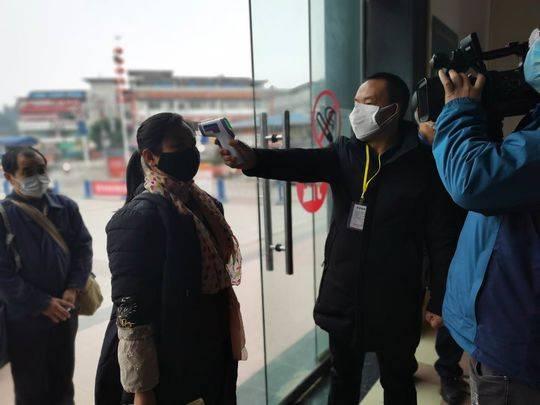 广东省深圳最新疫情下的自然探索之旅，寻求内心宁静与平和
