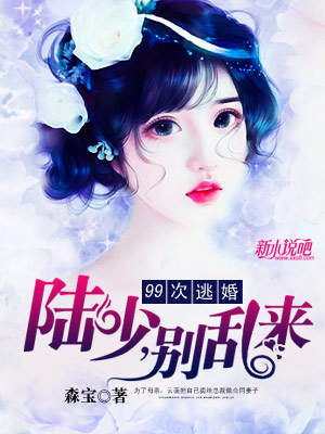 小巷中的隐藏美食天堂与陆少滚最新章节