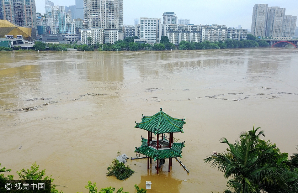 广西柳州水灾最新情况，风雨中的坚韧与希望之光