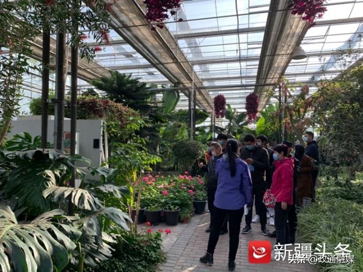 长白山天池开放最新动态，美景变迁与学习成就的自信之旅