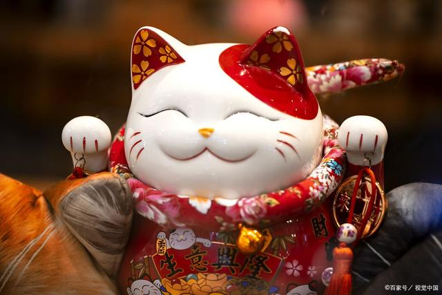 招财猫最新动态更新
