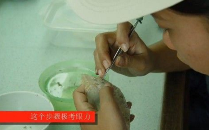 警惕网络陷阱，远离不道德和违法的精子窝内容，追求健康知识之旅