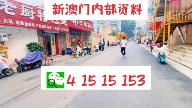 2024新澳门天天开好彩大全正版,深究数据应用策略_贴心版11.824