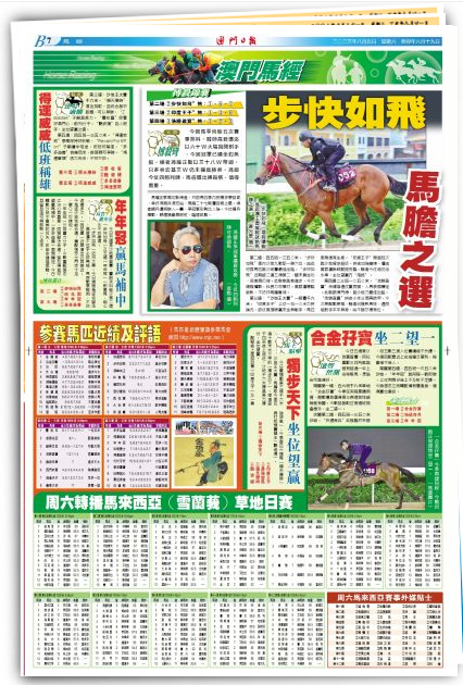 2024澳门特马今晚开奖53期,实时处理解答计划_SE版11.832