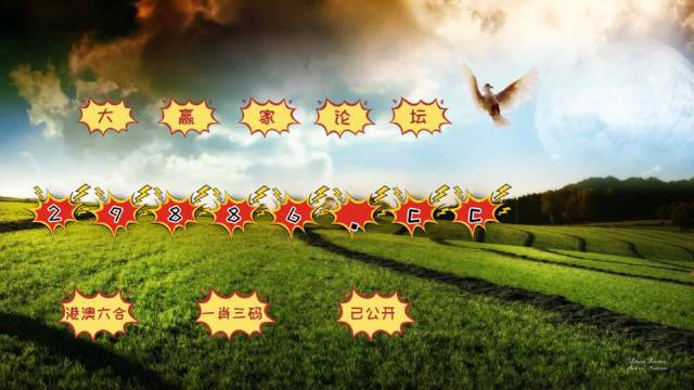 4949澳门特马今晚开奖,快速解答方案设计_亲和版66.163
