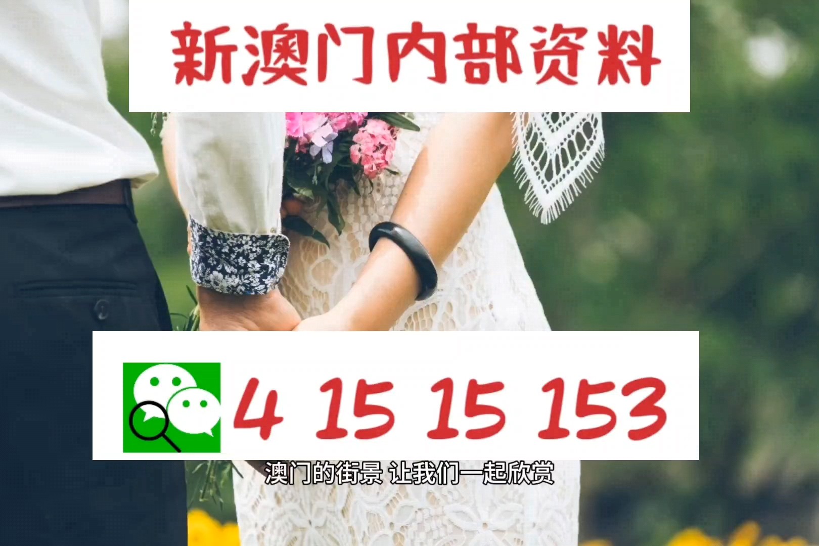 新澳门正版资料2024免费公开,深入登降数据利用_时尚版12.480
