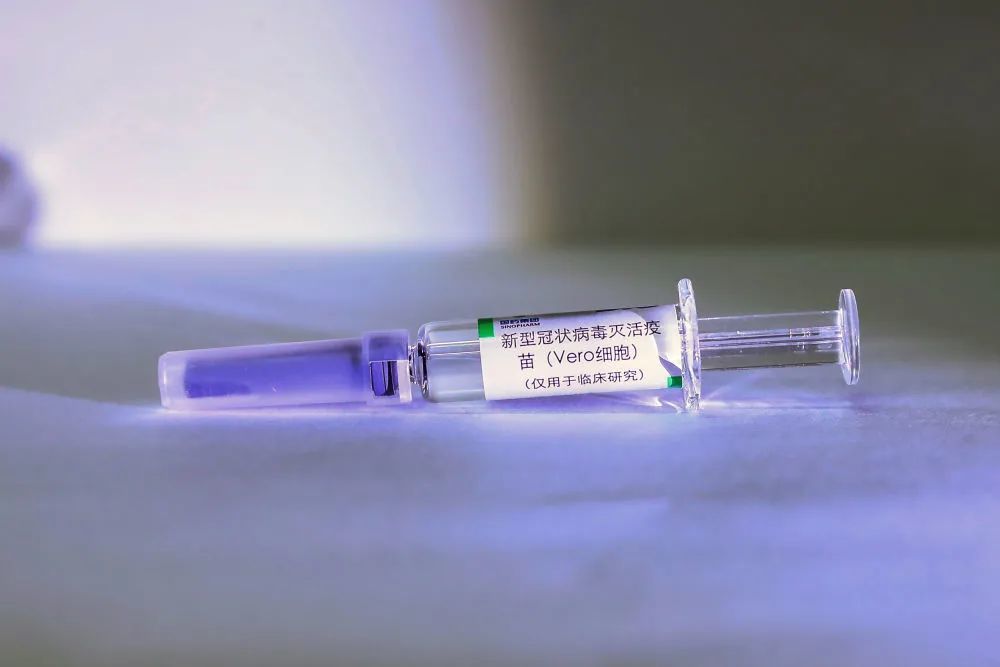 新型新冠疫苗进展论述，疫苗研发最新动态与突破
