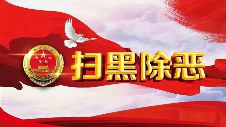 黄某某最新动态与热点，时代潮流的引领者