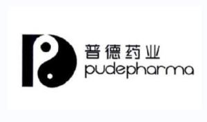 普德药业上市之路，变化、学习与成就感的探索之旅