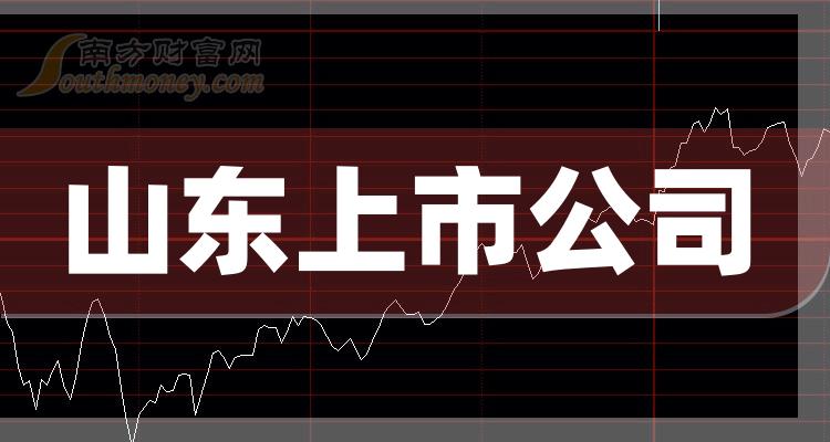 山东省上市公司，繁荣经济生态中的行业领袖崛起之路