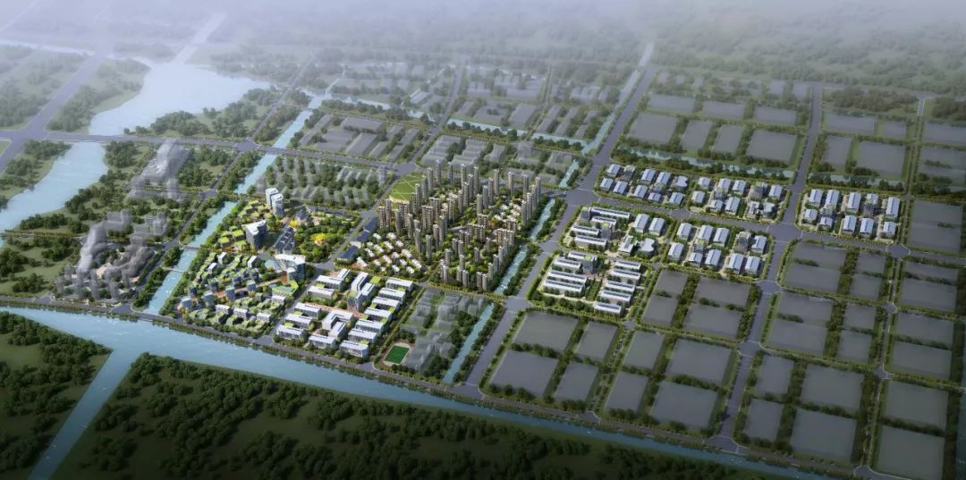 温州金海园区，变革活力与自信成就感的交织之地最新消息揭秘