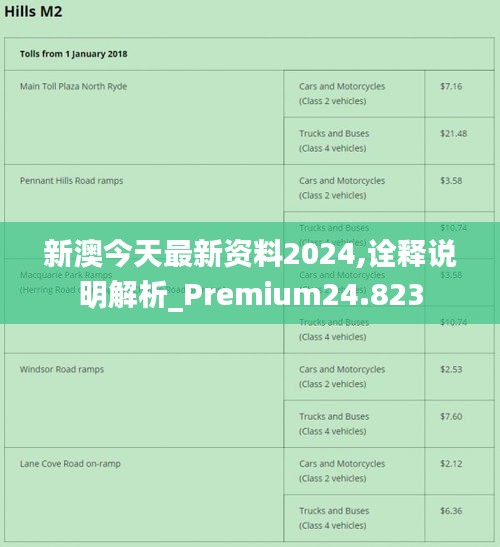 新澳2024年精准资料32期,数据整合解析计划_并发版26.493