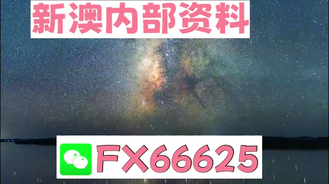 新澳天天彩免费资料大全查询,全方位数据解析表述_动态版91.542