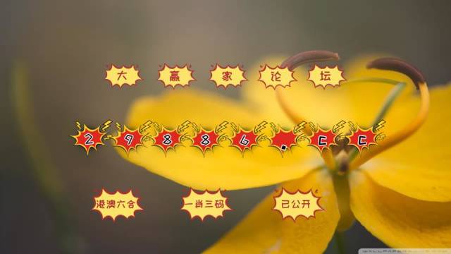 澳门4949最快开奖结果,供应链管理决策资料_智巧版79.160