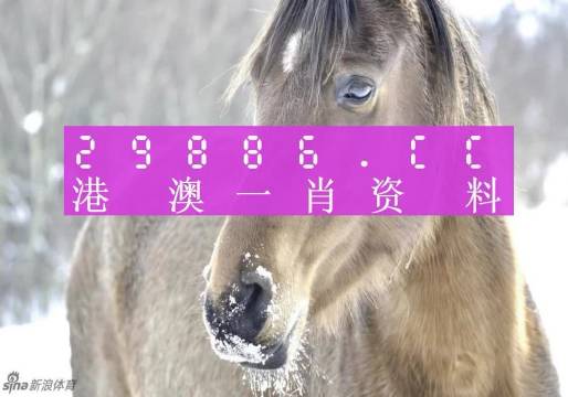 澳门一肖一码100%准确？,实时分析处理_远光版73.771