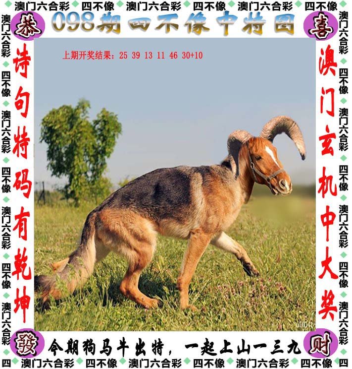 澳门今晚开特马四不像图,专业解读操行解决_抗菌版85.578