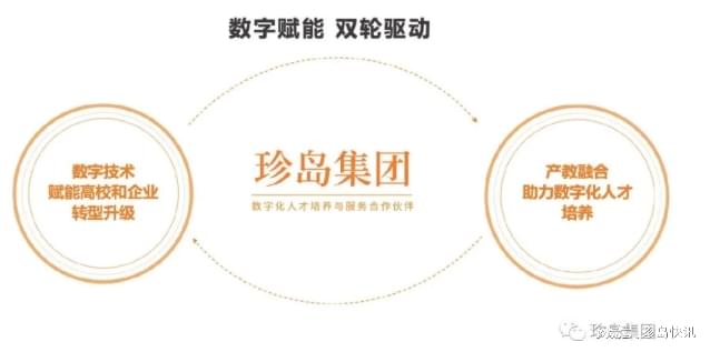 珍岛集团最新上市动态揭秘，最新上市消息全解析