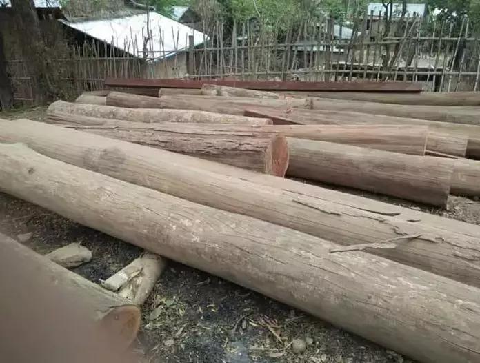 非洲木材最新价格行情，掌握变化，成就财富与自信之路