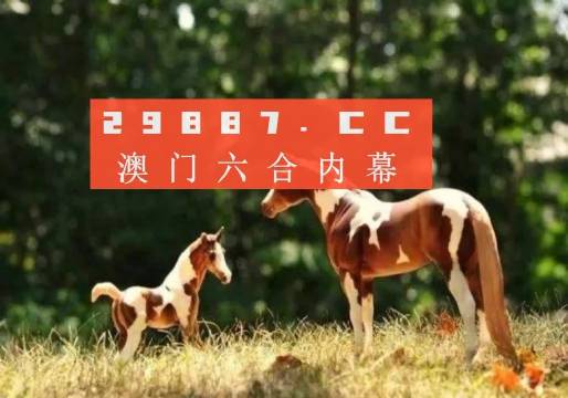 2024今晚澳门跑狗图,担保计划执行法策略_冷静版49.697
