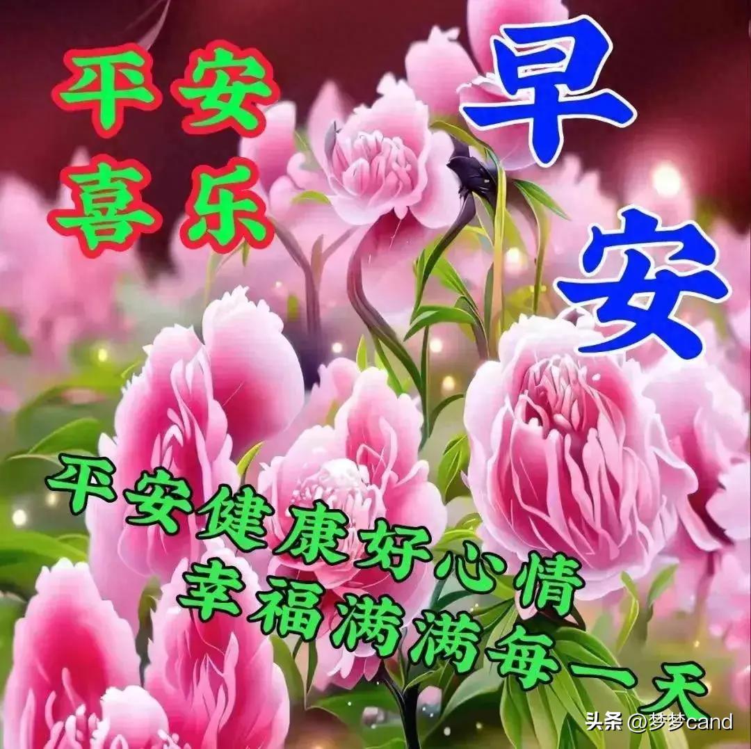 2024天天彩全年免费资料,仿真方案实施_多功能版39.928