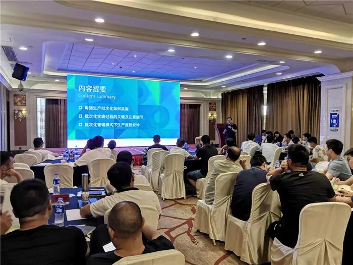 明星醇，引领自信与成就的不可抗拒之力