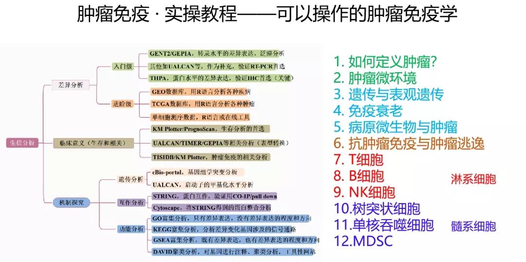 2024年正版资料全年免费,机制评估方案_赛博版40.923