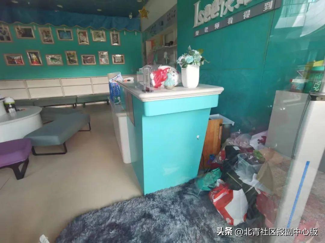 揭秘芭蕾舞演员的工资真相，舞台背后的收入探索