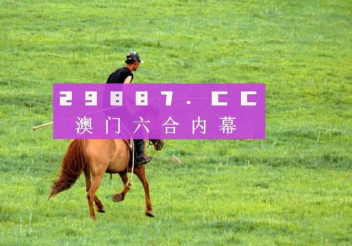 2024澳门特马今晚开奖138期,精细化方案决策_高级版80.612