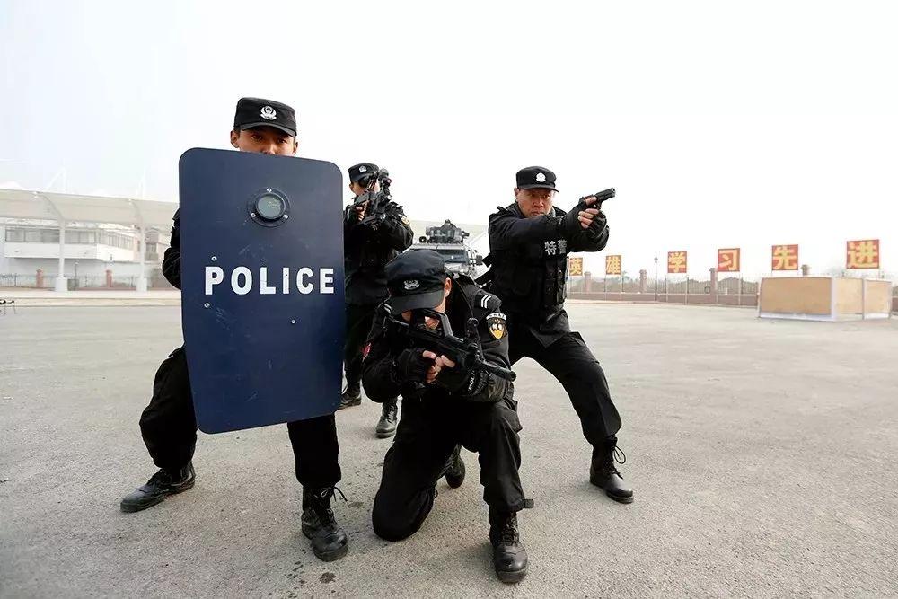 泰安南开发区最新招聘信息概览