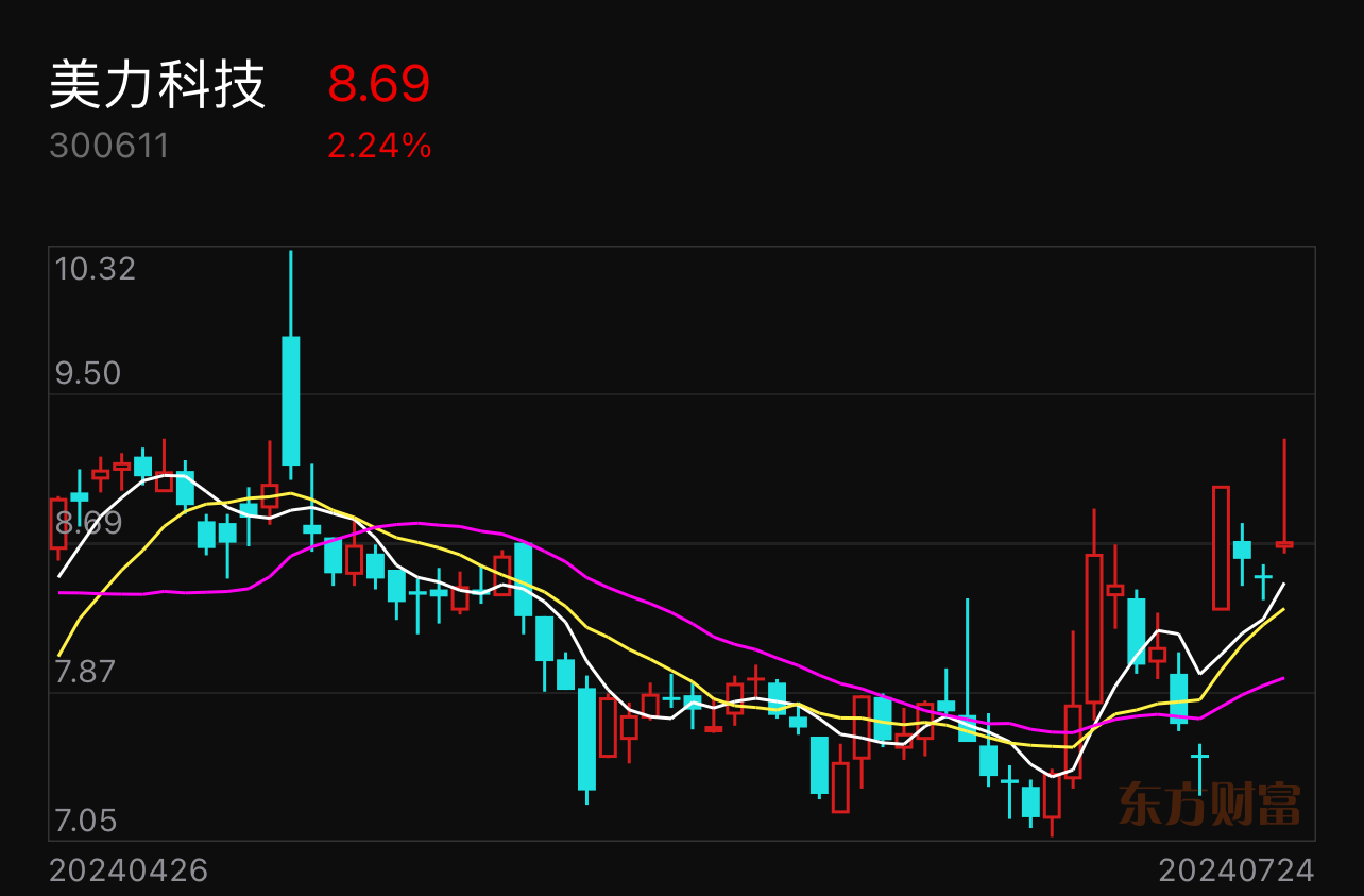 美力科技股票投资视角及前景展望