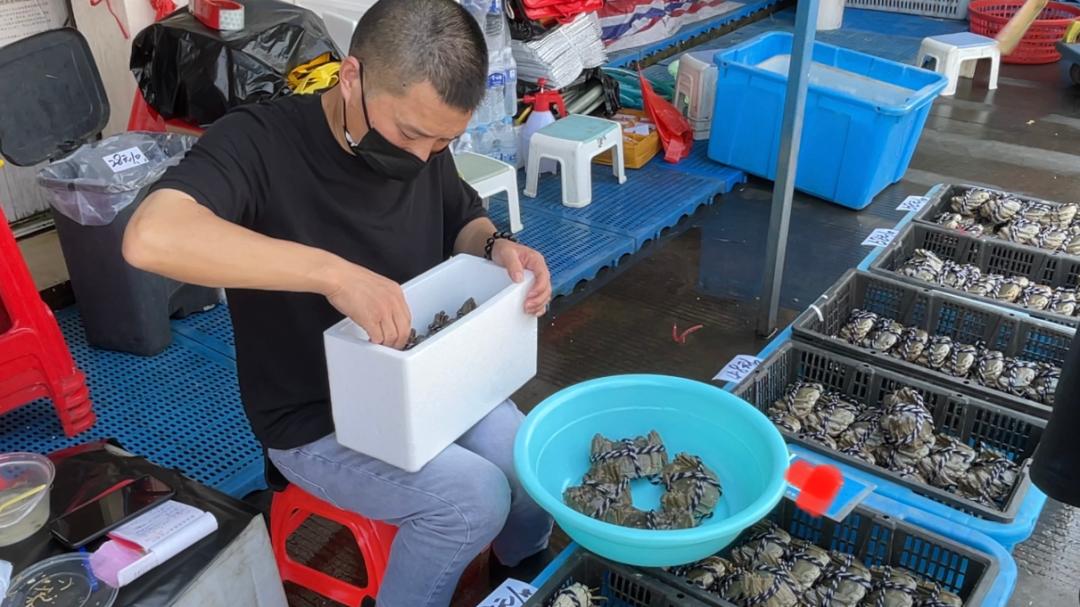 生鲜行情深度解析，市场趋势大揭秘