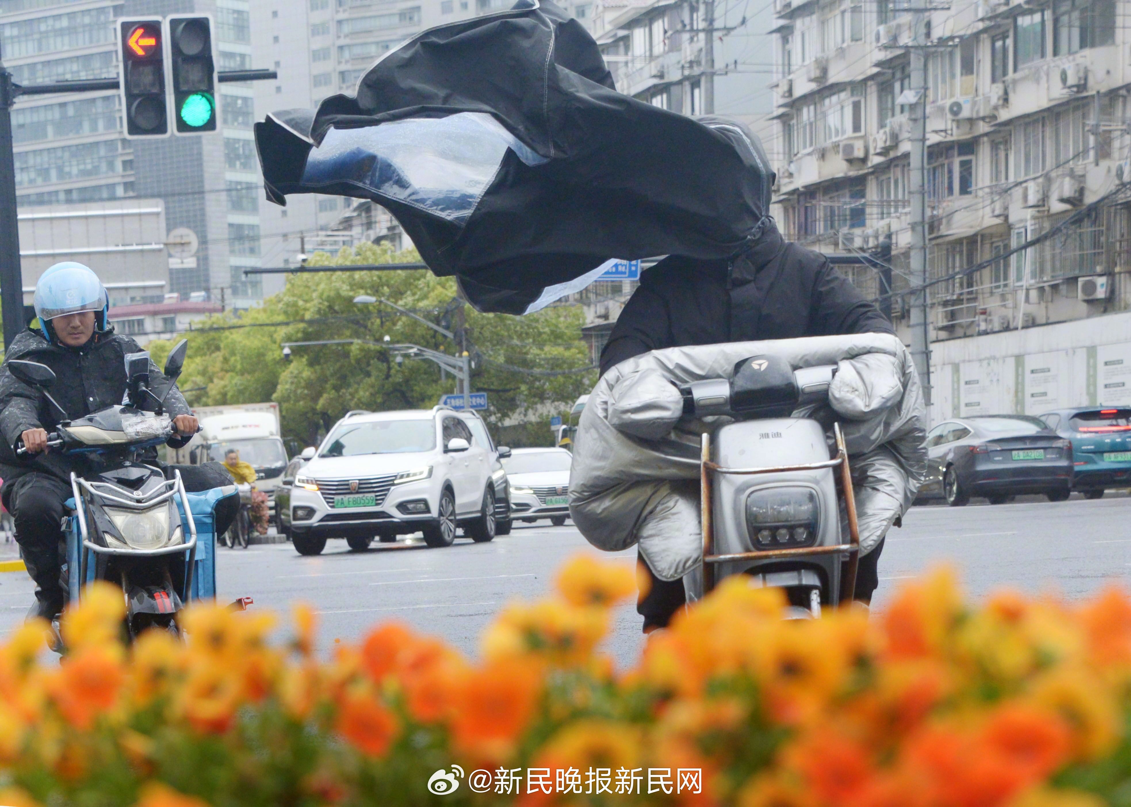上海大风最新动态，多方观点分析与个人立场阐述
