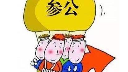 参公最新政策详解，背景、进展及其影响全解析