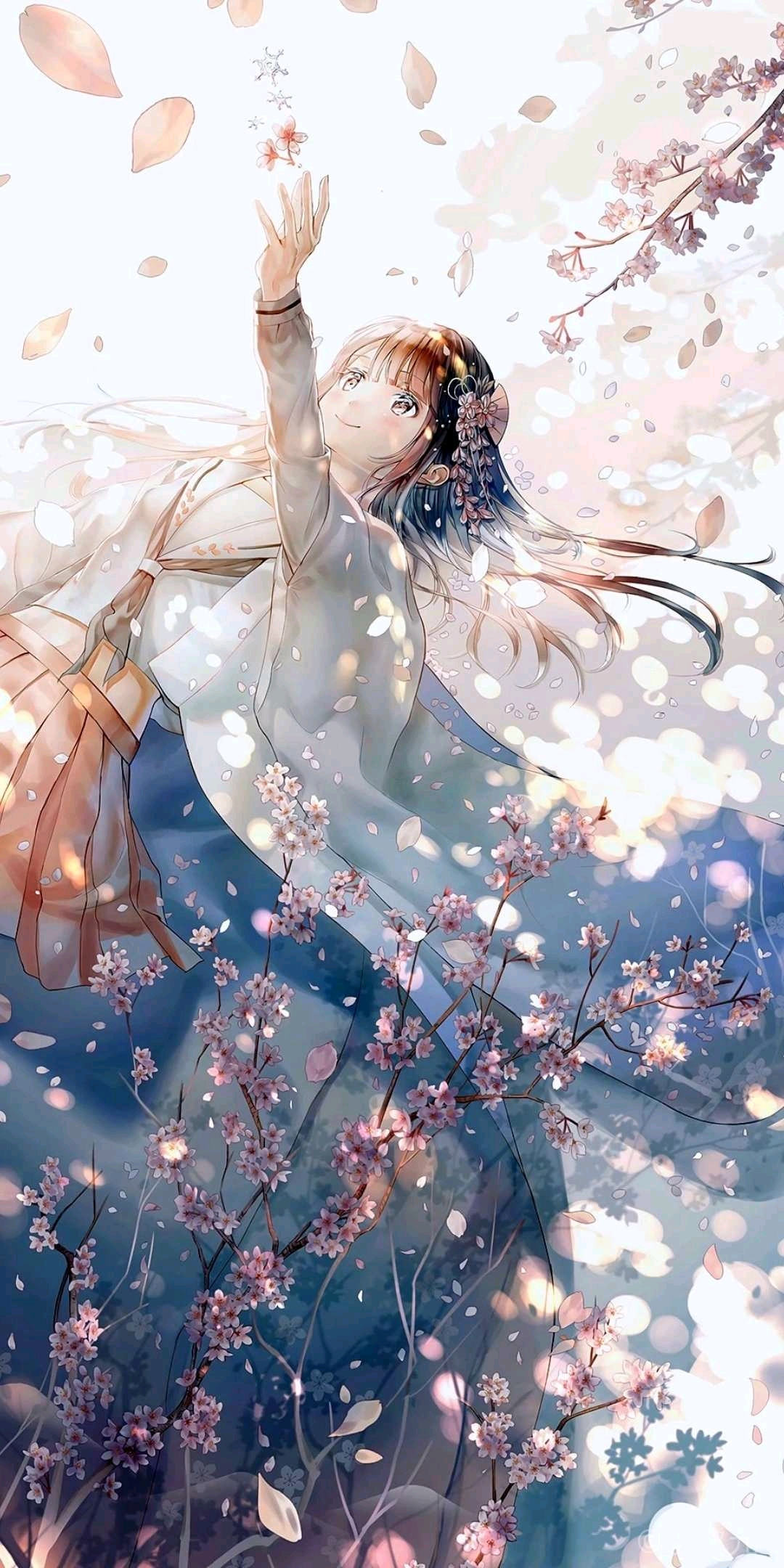 动漫精美壁纸，一段温馨有趣的日常故事视觉盛宴