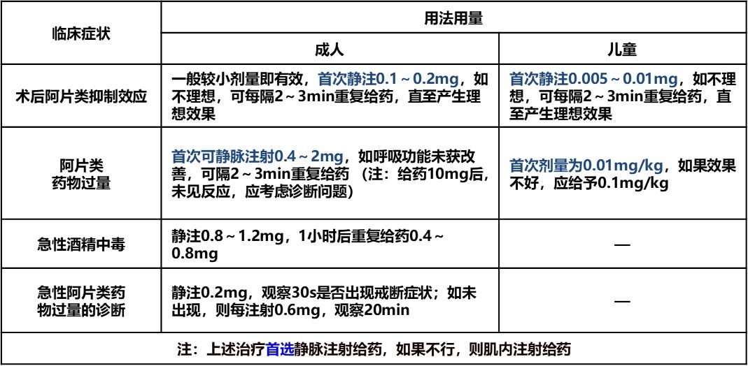 最新诺明解析，带你探索未知世界的新篇章！