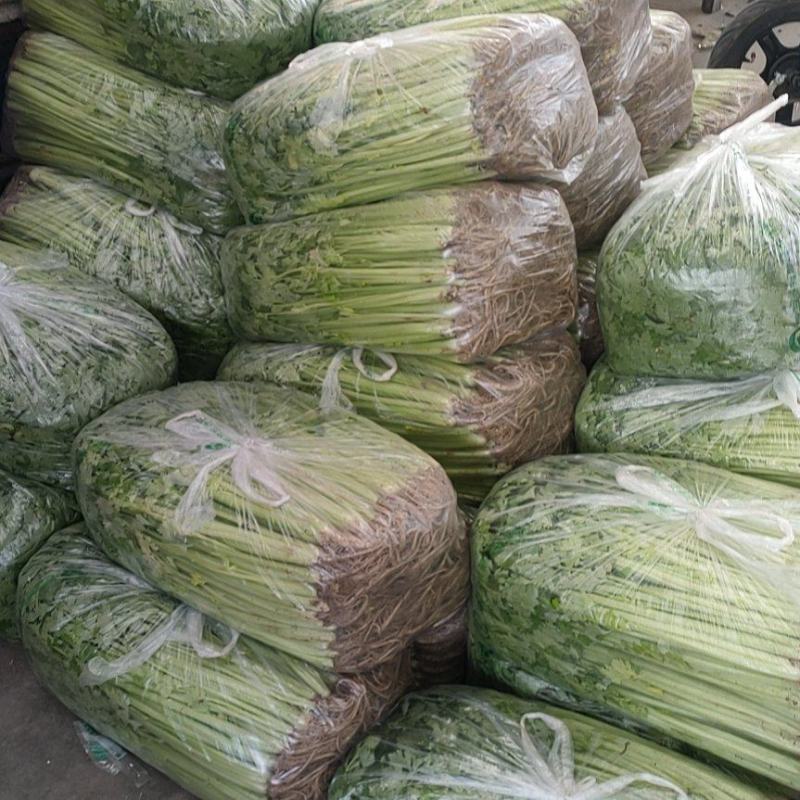 全国芹菜行情分析与应对策略，种植户、批发商和消费者的实用指南
