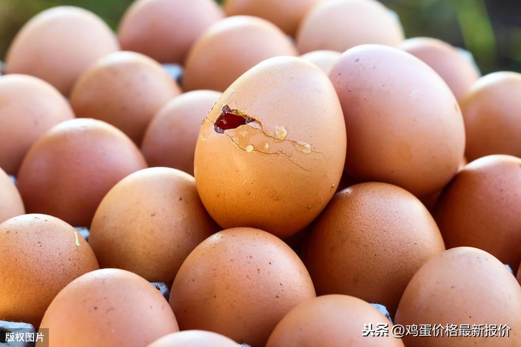 华茂股份行情详解，初学者与进阶用户的操作指南及行情分析