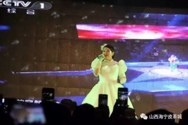 张倩云最新演出片段，演技与表现的深度探讨