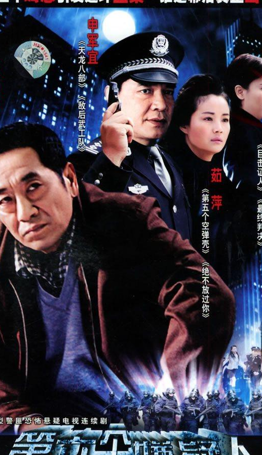 法不容情电视剧