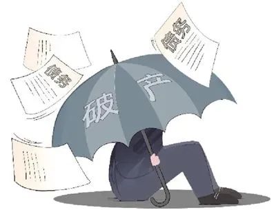 逆风翱翔，破产资讯速递，探寻成功种子于挫败之中