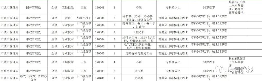 周口最新招聘信息，职业机遇与挑战在时代脉搏下交织