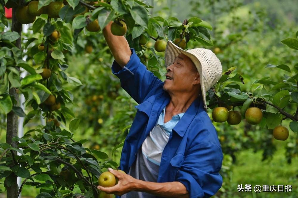 奉节最新资讯，城市中的温情故事