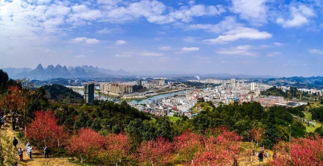 河池最新疫情信息及其影响，一种观点的深度解析