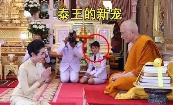 泰国宫演员与自然美景的邂逅，寻找内心平和之旅