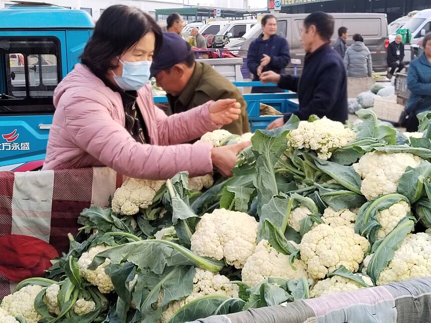 菜花市场价格动态